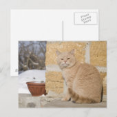 CARTE POSTALE 2 (Devant / Derrière)