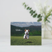 Carte postale 2 (Debout devant)