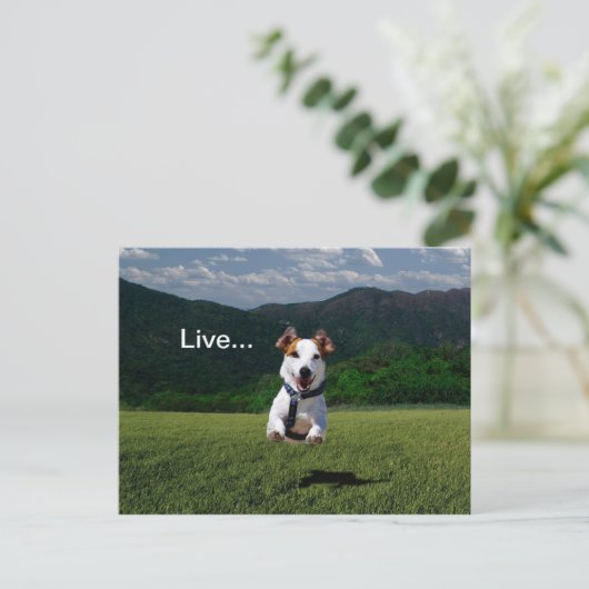 Carte postale 2 (Debout devant)