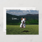 Carte postale 2 (Devant / Derrière)