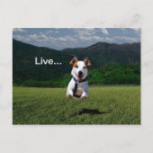 Carte postale 2 (Devant)