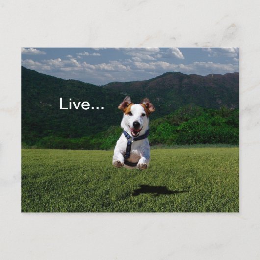 Carte postale 2 (Devant)