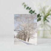 CARTE POSTALE 2 (Debout devant)