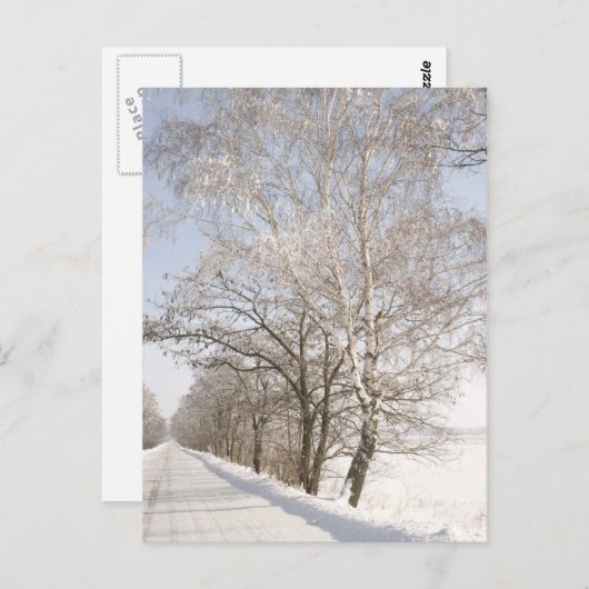 CARTE POSTALE 2 (Devant / Derrière)