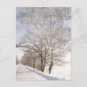 CARTE POSTALE 2 (Devant)