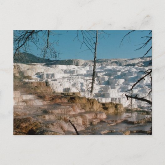 Carte Postale 2003 - Yellowstone 01 (Devant)