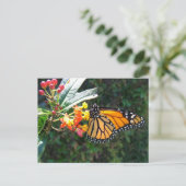 CARTE POSTALE 2008_0109_114022 (Debout devant)