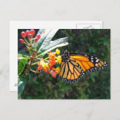 CARTE POSTALE 2008_0109_114022 (Devant / Derrière)