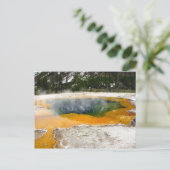 Carte Postale 2008 - Yellowstone 07 (Debout devant)