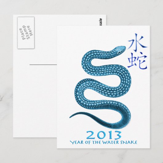 CARTE POSTALE 2013 (Devant / Derrière)