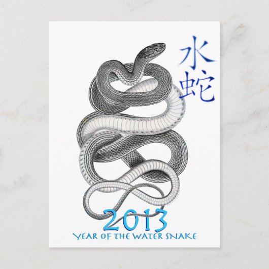 CARTE POSTALE 2013 (Devant)