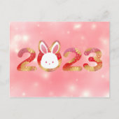 Carte Postale 2023, Nouvel An Chinois, Lapin (Devant)
