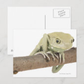 CARTE POSTALE 23568119 (Devant / Derrière)