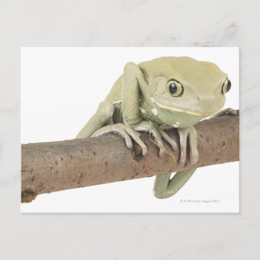 CARTE POSTALE 23568119 (Devant)