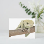 CARTE POSTALE 23568119 (Debout devant)