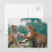 CARTE POSTALE 23899157 (Devant / Derrière)