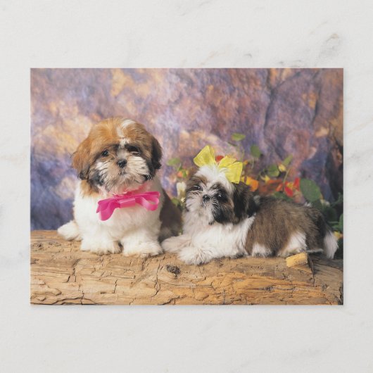 CARTE POSTALE 24095243 (Devant)