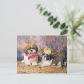 CARTE POSTALE 24095243 (Debout devant)