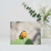 CARTE POSTALE 24102386 (Debout devant)