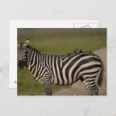 CARTE POSTALE 24109277 (Devant / Derrière)