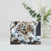 CARTE POSTALE 24114363 (Debout devant)