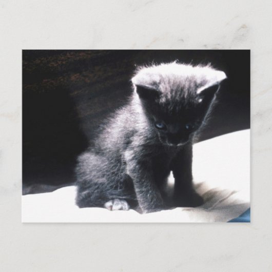 CARTE POSTALE 24117556 (Devant)
