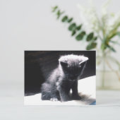 CARTE POSTALE 24117556 (Debout devant)