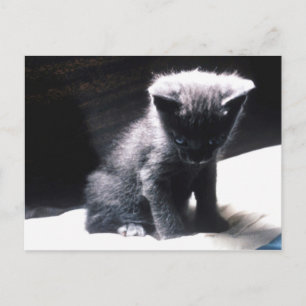 CARTE POSTALE 24117556