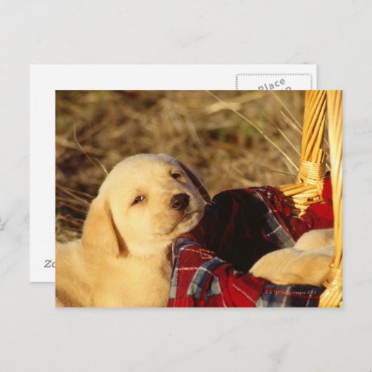 CARTE POSTALE 24117967 (Devant / Derrière)