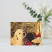 CARTE POSTALE 24117967 (Debout devant)