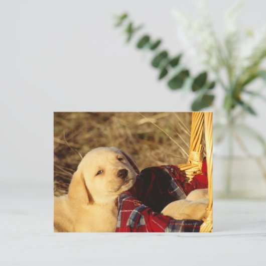 CARTE POSTALE 24117967 (Debout devant)