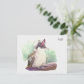 Carte Postale 24 : Kookaburra (Debout devant)