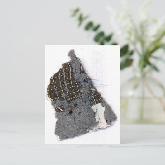 CARTE POSTALE 25 (Debout devant)