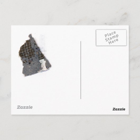 CARTE POSTALE 25 (Dos)