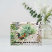 Carte Postale 2-12-2007 (2)-07, Salutations De Key West! (Debout devant)