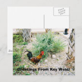 Carte Postale 2-12-2007 (2)-07, Salutations De Key West! (Devant / Derrière)