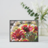 Carte Postale 2 Abeilles En Fleur Devant Le Jardin. (Debout devant)