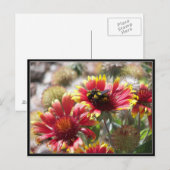 Carte Postale 2 Abeilles En Fleur Devant Le Jardin. (Devant / Derrière)