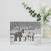 Carte Postale 2 Chevaux neigeux sous un arbre (Debout devant)