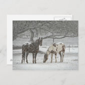 Carte Postale 2 Chevaux neigeux sous un arbre (Devant / Derrière)