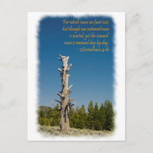 Carte Postale 2 Corinthiens 4:15