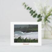 Carte postale 2 d'Hawaï (Debout devant)