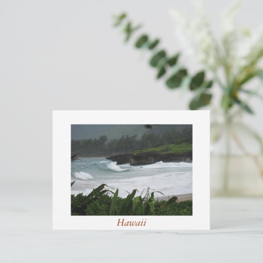 Carte postale 2 d'Hawaï (Debout devant)