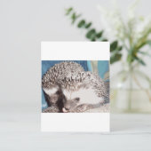 Carte Postale 2 hérissons mignons (Debout devant)