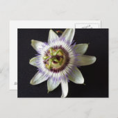 Carte Postale 2 janvier - educatedbrainfart (Devant / Derrière)