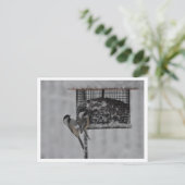 Carte Postale 2 poulets (Debout devant)