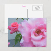 Carte postale 2 Roses (Devant / Derrière)
