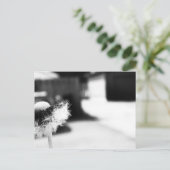 Carte Postale 2 souhaits (Debout devant)