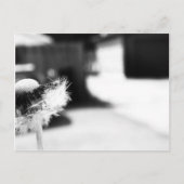 Carte Postale 2 souhaits (Devant)