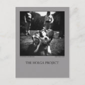 Carte postale 3 (Devant)